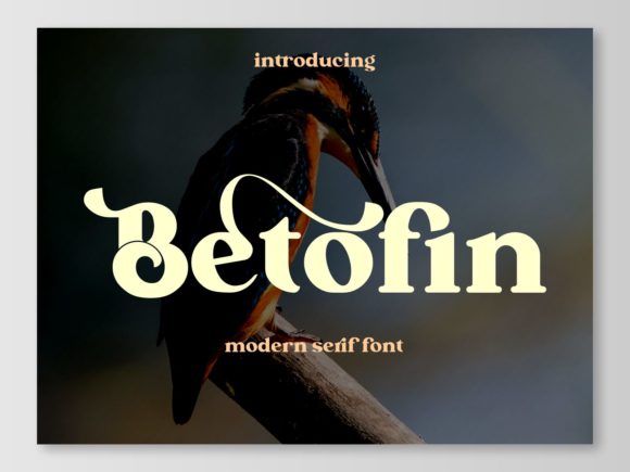 Betofin: A Serif Font for Polished Branding