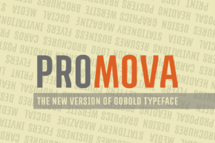 Promova: A Bold Serif Font for Campaigns